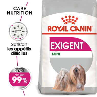 Mini Exigent