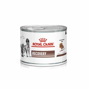 Recovery - boîte