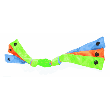 Tricolor-Dental-Play