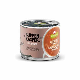 Hund - Suppenkasper Lachs mit Tomate