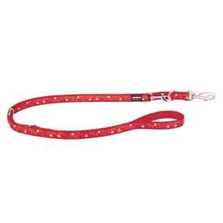 Leashes Design Swiss Cross