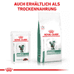 Diabetic Cat - Frischebeutel
