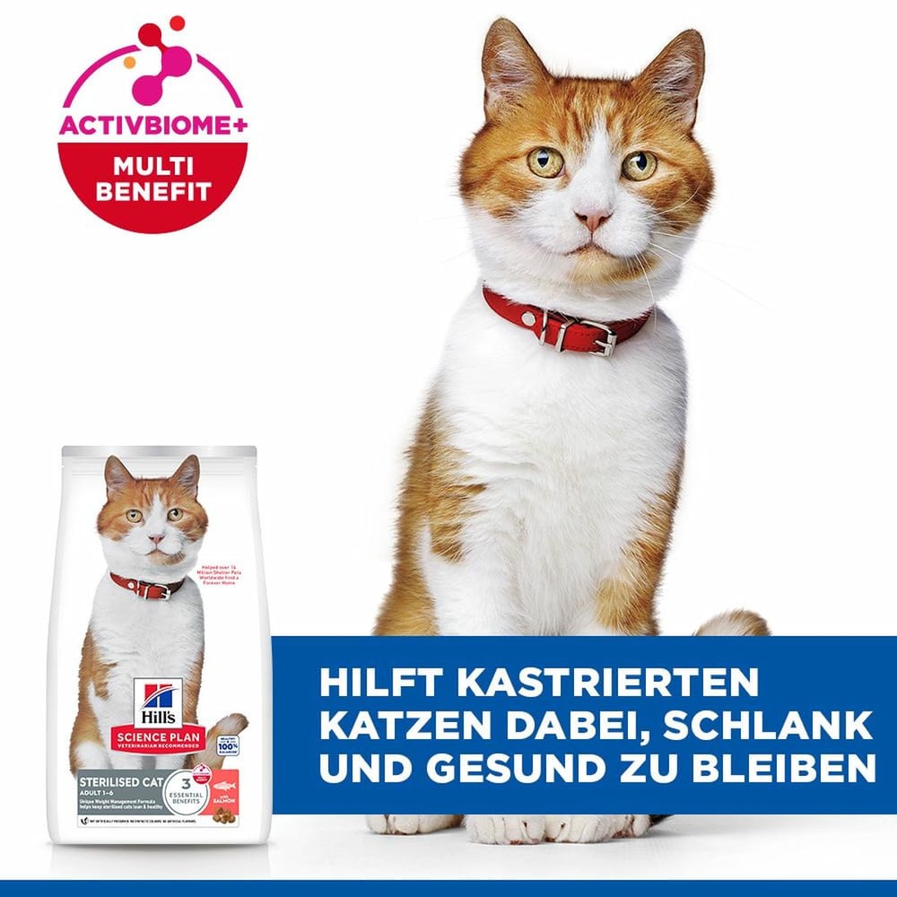 Feline Sterilised Cat Salmon