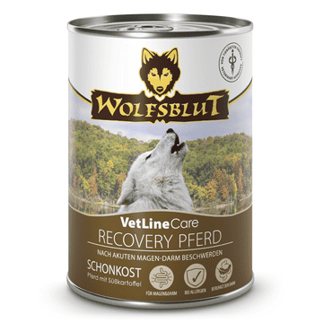 Recovery Horse Dog Wet
