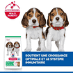 Puppy Medium Breed Lamb & Rice
