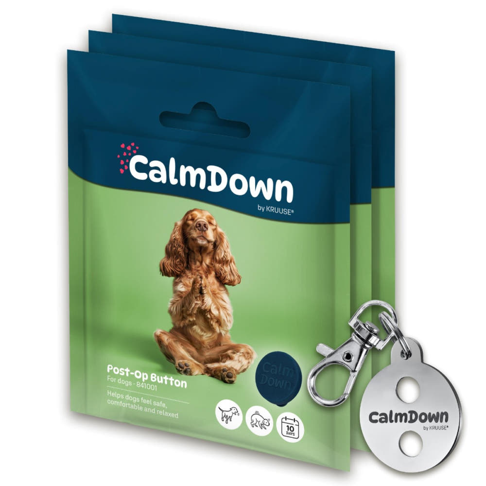 CalmDown Post-OP Button & Halsband-Anhänger für Hunde