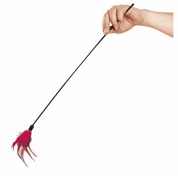 Cat fishing rod feather duster