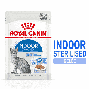 Indoor Sterilised Cat en gelée - sachet