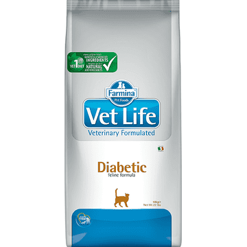 Feline Diabetic