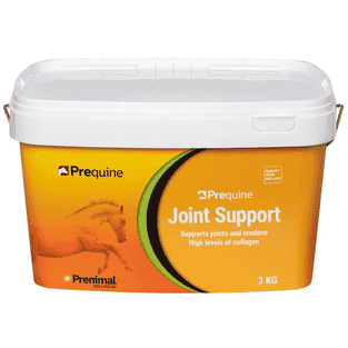 Joint Support