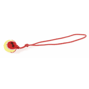 Schleuderball