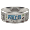 Feline Adult Hepatic