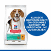 Canine Adult Perfect Weight Medium Breed