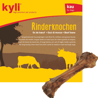 Rinderknochen
