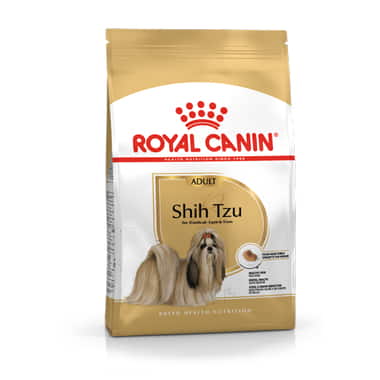 Shih Tzu