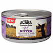 Cat Wet Premium Pâté Kitten Chicken
