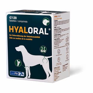 Hyaloral comprimés
