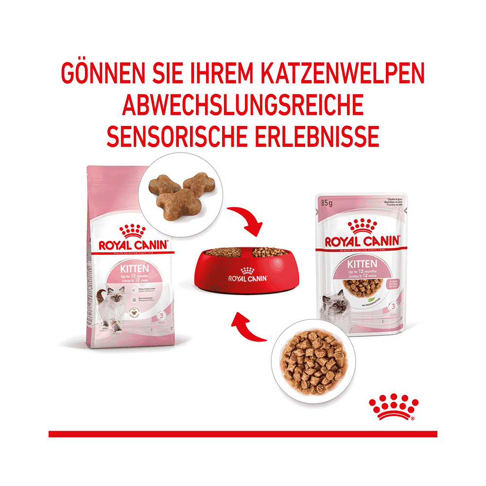 Kitten in  Sauce - Frischebeutel