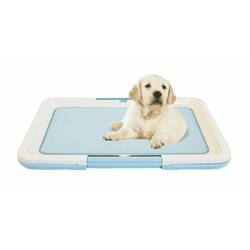 Puppy Toilettes chiots