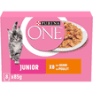 Junior au poulet et aux carottes - en sachet