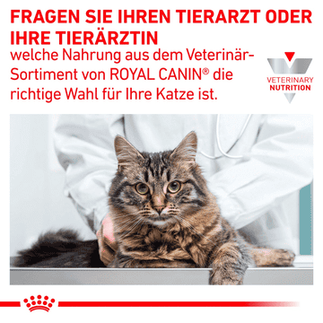 Gastrointestinal Moderate Calorie Cat
