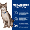 Feline k/d Kidney Care Salmon - Sachet