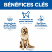 Canine Adult Perfect Weight Large Breed