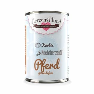 Pferd mit Bio-Kürbis