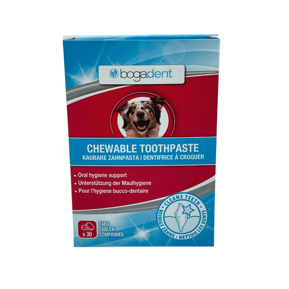 Bogadent dentifrice à croquer pour chiens