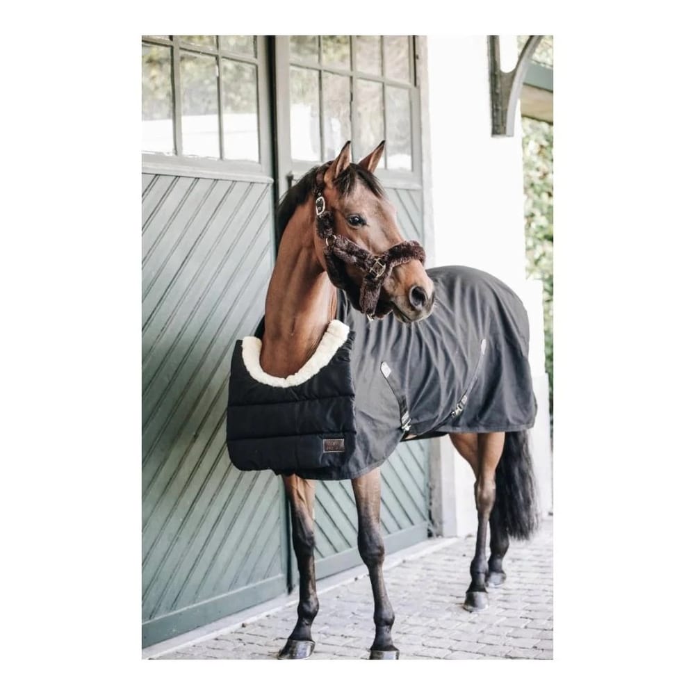 Horse BIB Winter Decken-Brustschutz