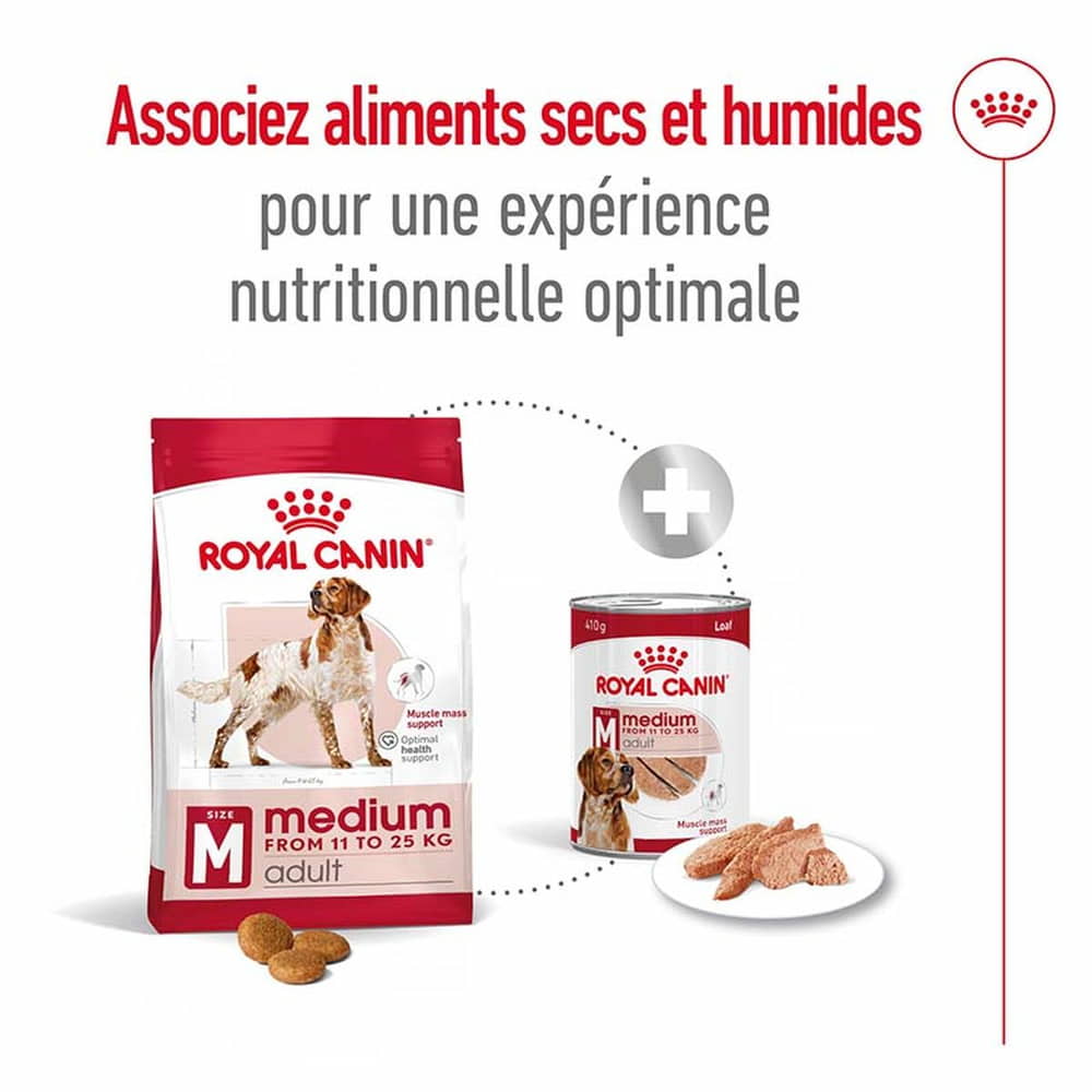 Medium Adult Loaf - Boîte