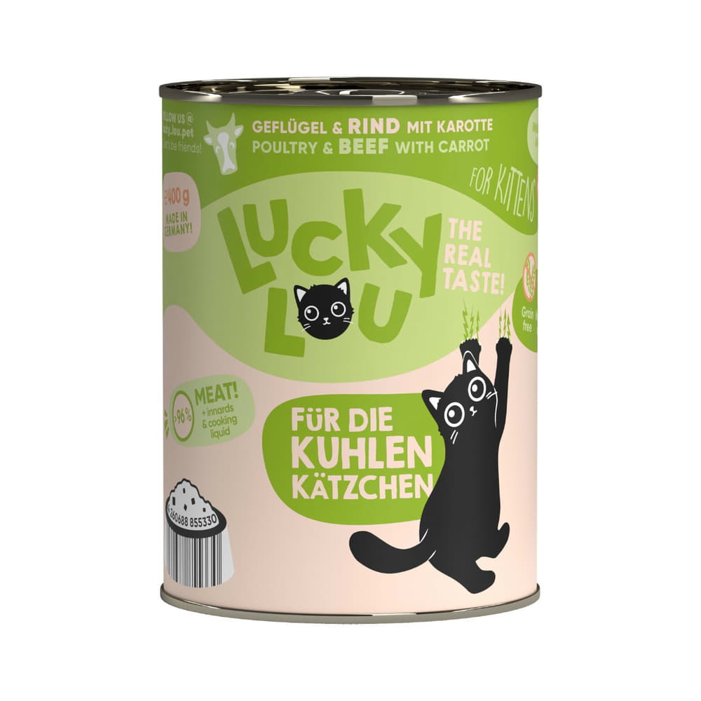 Kitten Poultry &amp; Beef