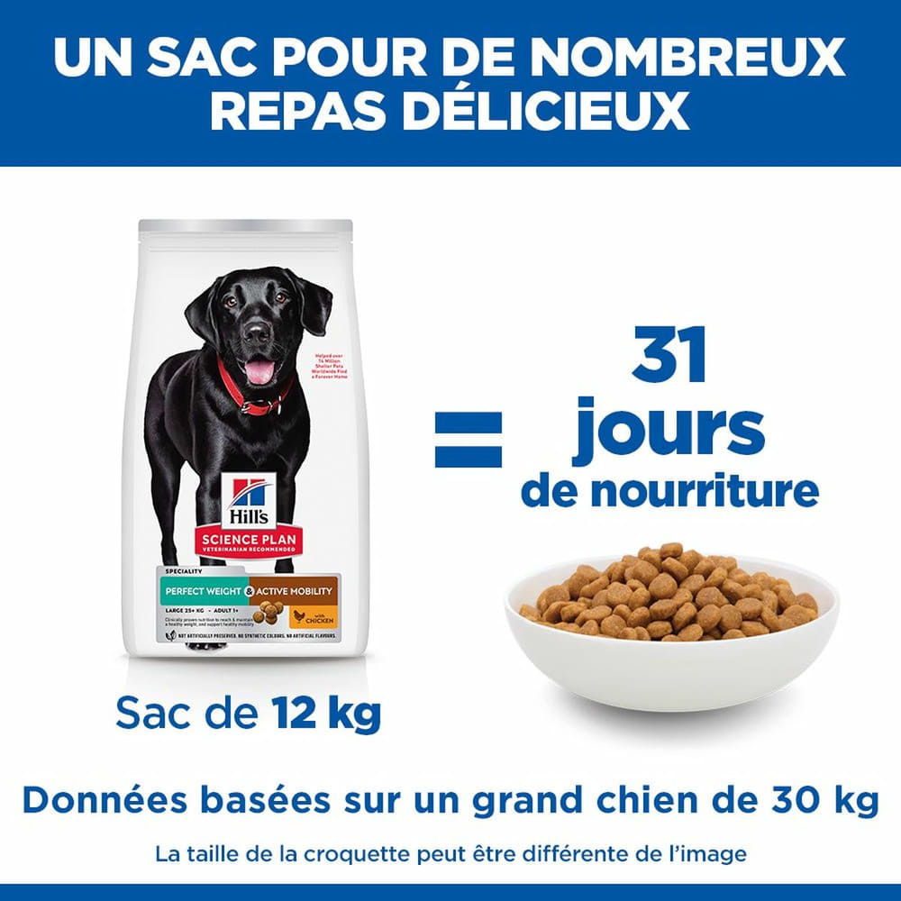 Canine Perfect Weight + Active Mobility Large Breed
