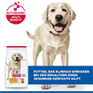Canine Adult Light Large Breed