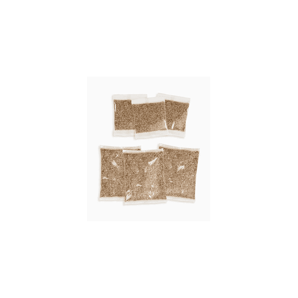 Catit Senses 2.0 Grass Kit, 3er-Pack