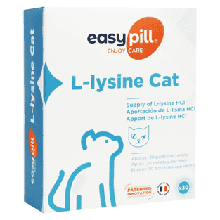 L-lysine