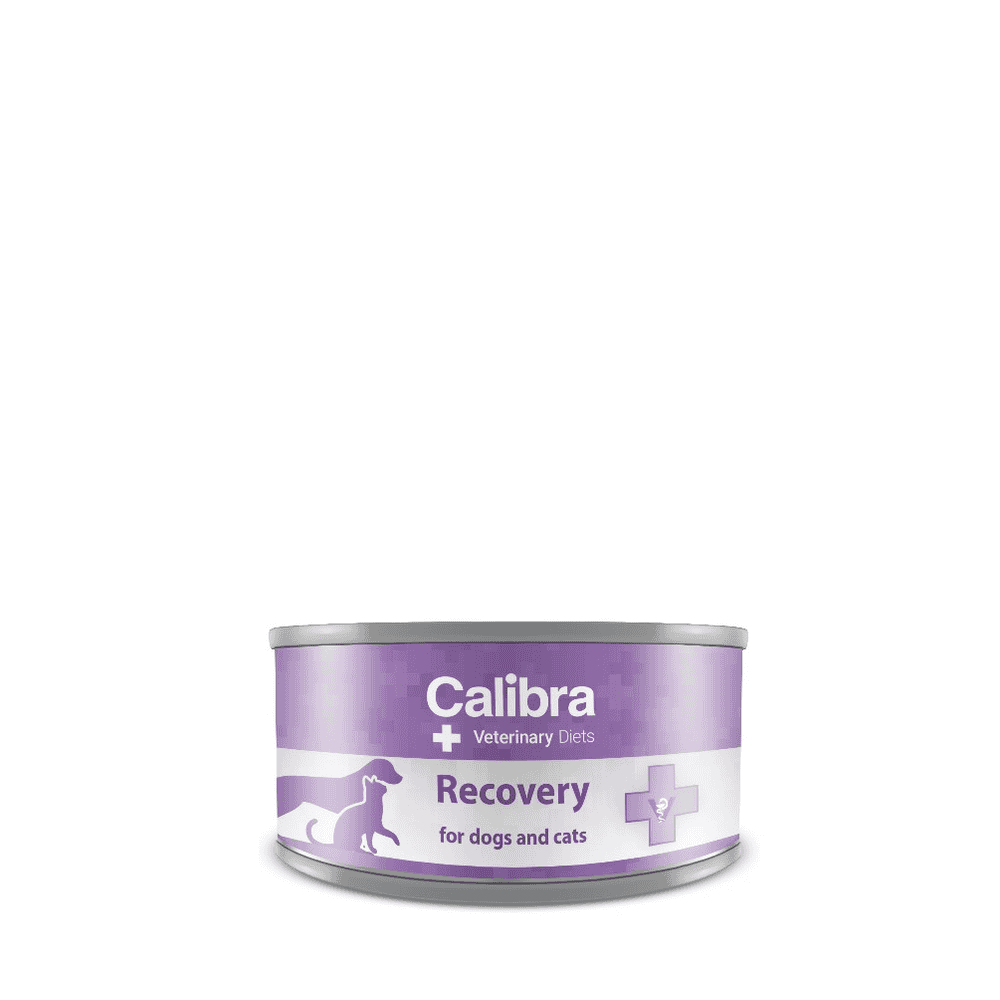 Canine/Feline Recovery