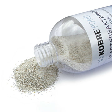 Starter bacteria