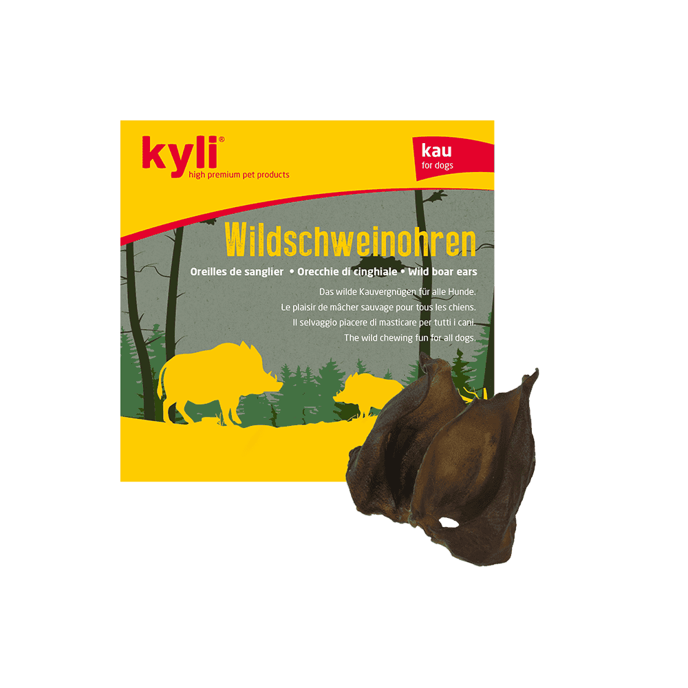 Wild boar ears