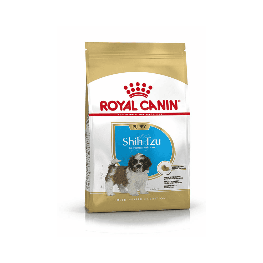 Shih Tzu Puppy