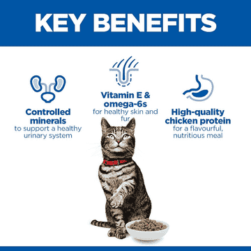 Feline Urinary Health