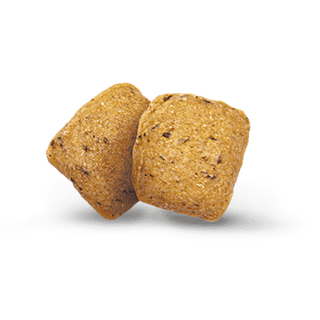Hypoallergénique VegetariaDog