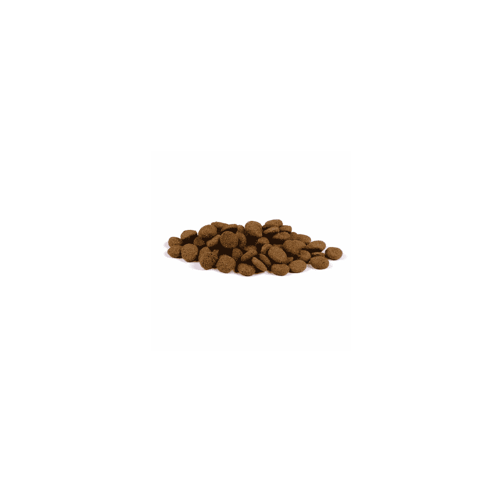 Dog Senior/Healthy Weight True Fresh - Frisches Huhn