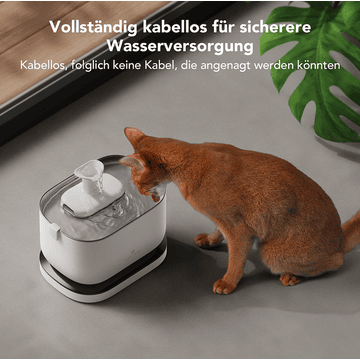 Dockstream kabelloser Trinkbrunnen