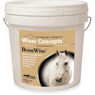 BoneWise