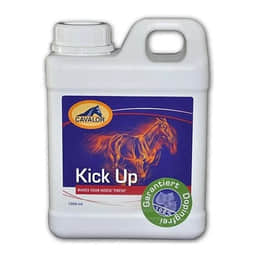 Kick Up