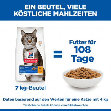 Feline Oral Care