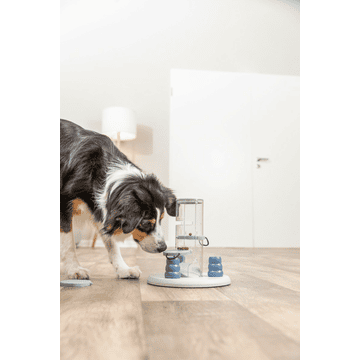 Dog Activity Gambling Tower