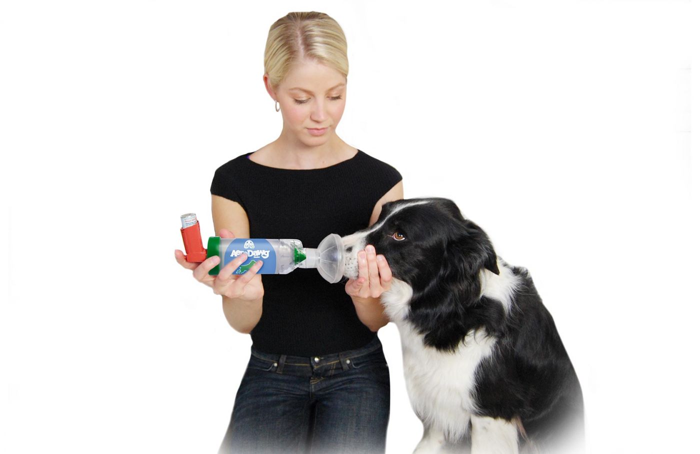 Inhalateur pour chiens