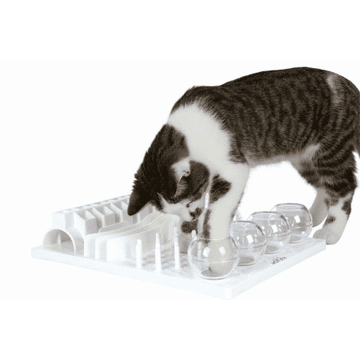 Cat Activity Fun Board